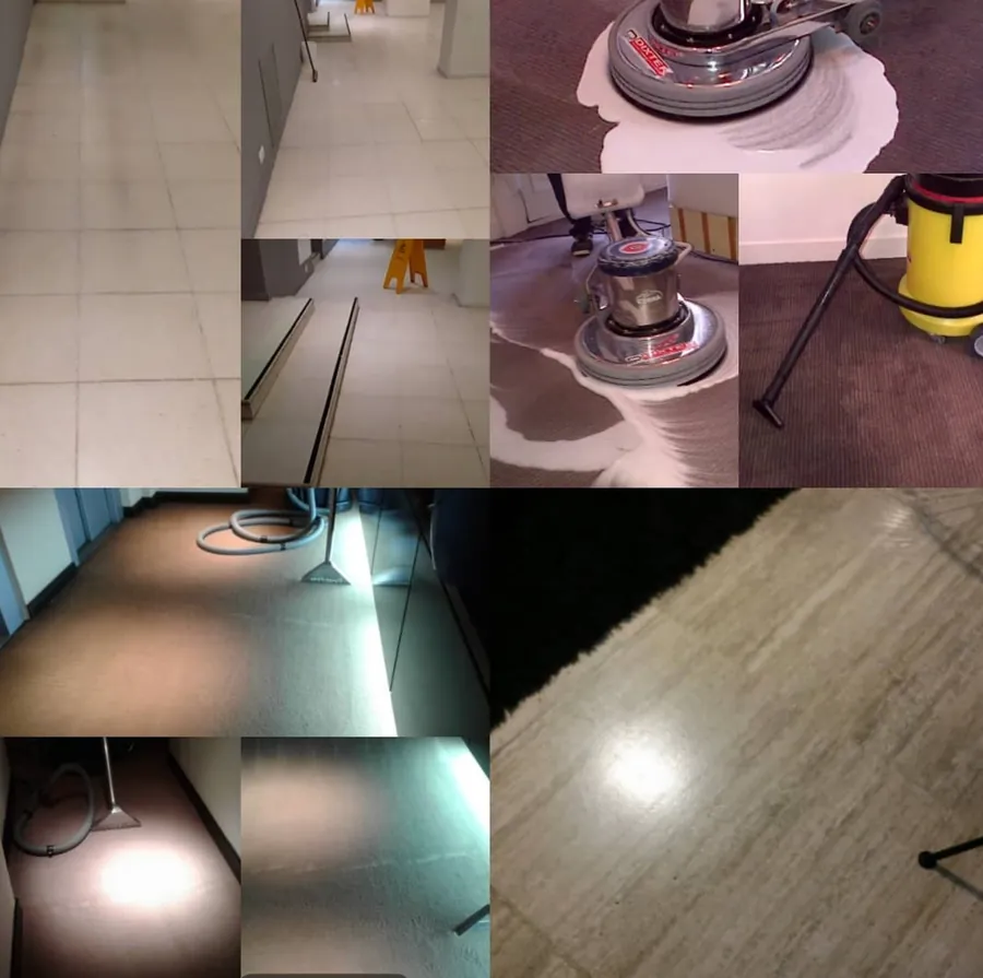 Resultado de limpieza profesional